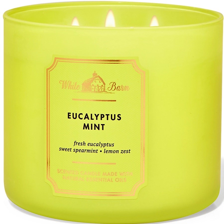 Eucalyptus Mint 3 Wick Scented Candle 411 g