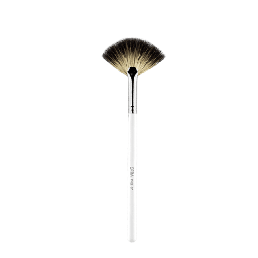 Highlighting Fan Brush 07